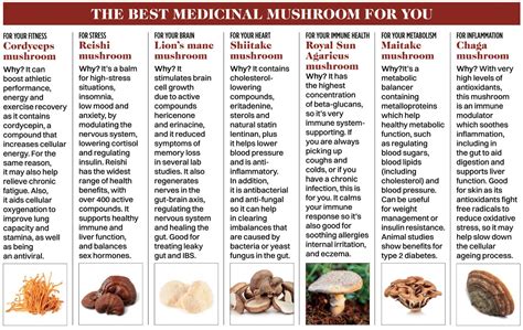The Unique Varieties of Mushrooms Found in John Cena's Garden